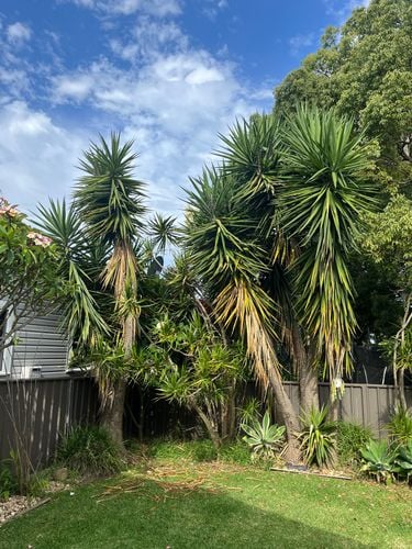 IMG_4354.jpeg IMG_4354.jpeg