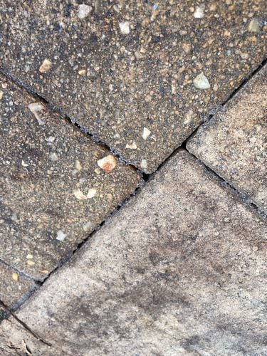 IMG_2504.jpeg IMG_2504.jpeg