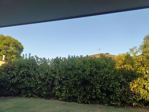 1000024877.jpg 1000024877.jpg