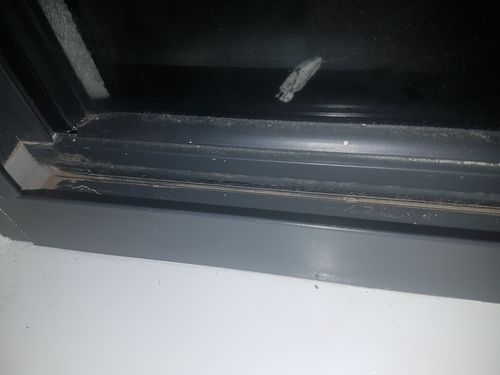 109939393_213819869841661_381155455718501504_n.jpg 109939393_213819869841661_381155455718501504_n.jpg