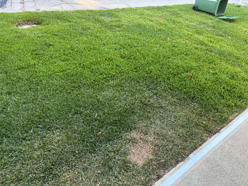 IMG_3954.jpeg IMG_3954.jpeg