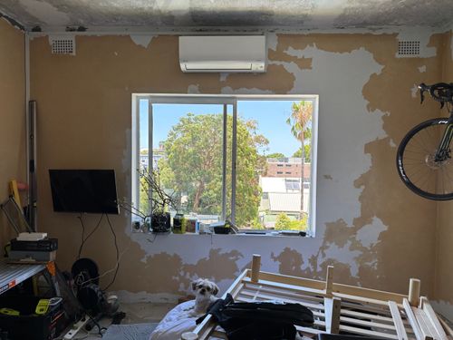 IMG_2955.jpeg IMG_2955.jpeg