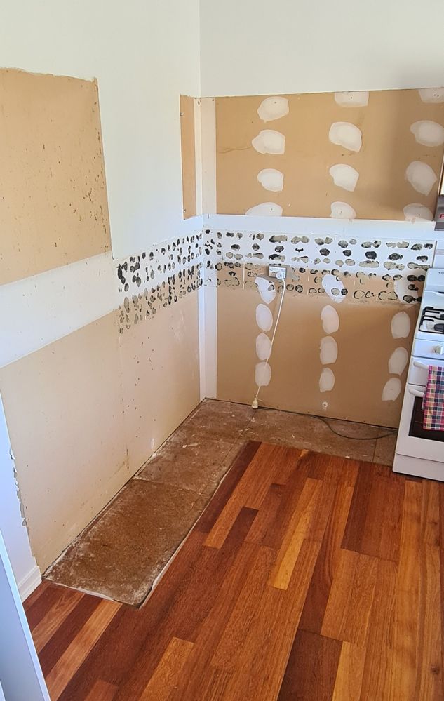 20220405_133610 (1).jpg 20220405_133610 (1).jpg