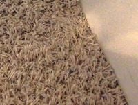 carpet1.jpg carpet1.jpg