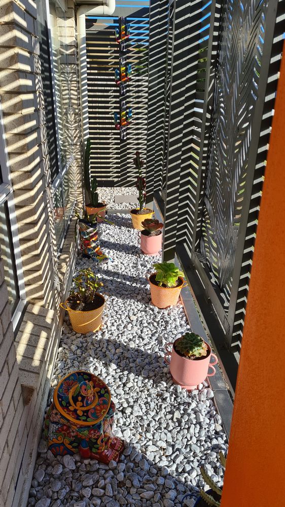 Mexian Garden.jpg Mexian Garden.jpg