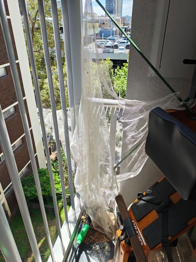 IMG_20241027_131157218_HDR.jpg IMG_20241027_131157218_HDR.jpg