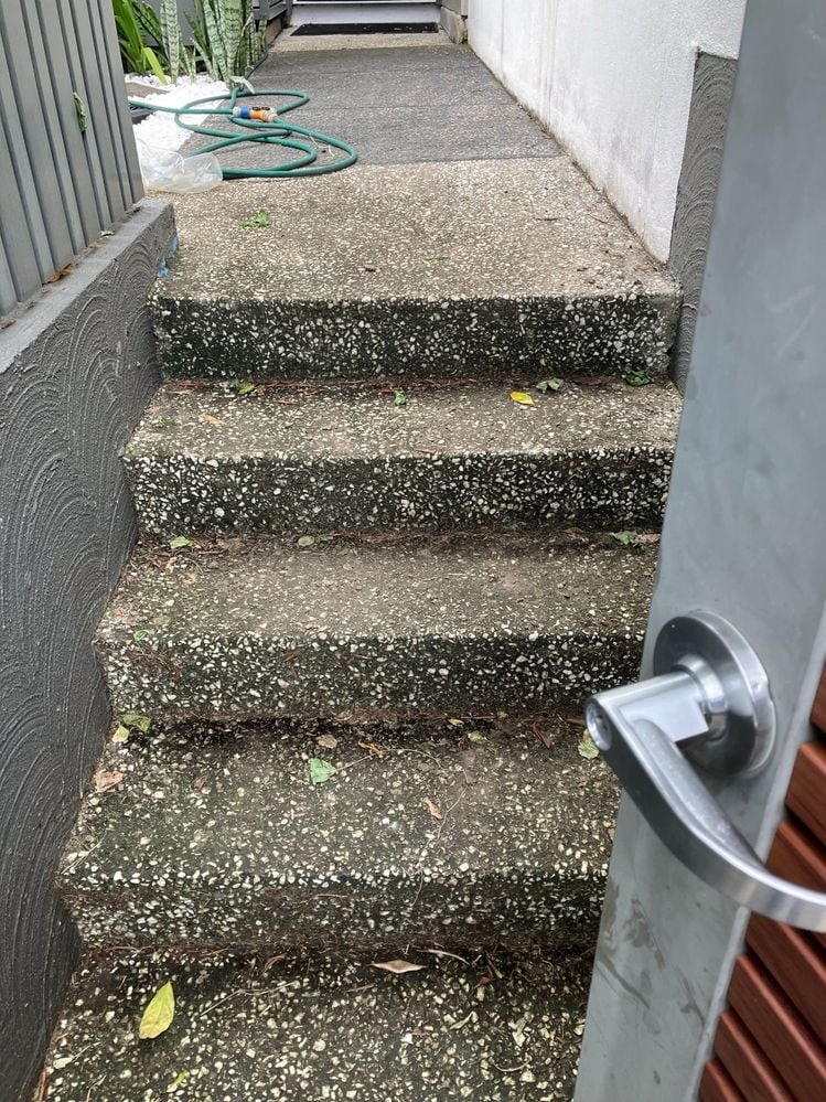 image.jpeg image.jpeg