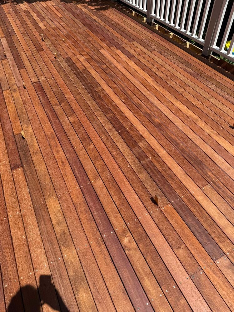 462574726_1307084606966802_7021212208182767346_n.jpg 462574726_1307084606966802_7021212208182767346_n.jpg