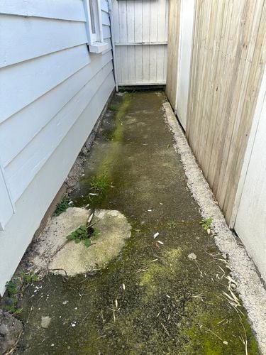 IMG_4795.jpeg IMG_4795.jpeg