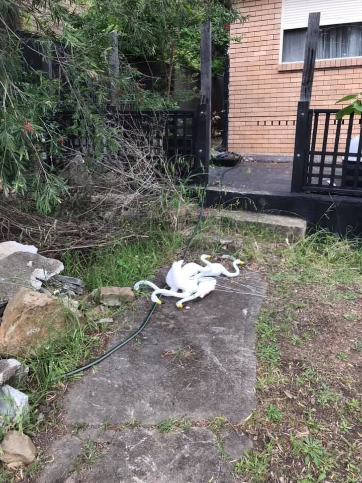 08 07-11-2020.jpg 08 07-11-2020.jpg