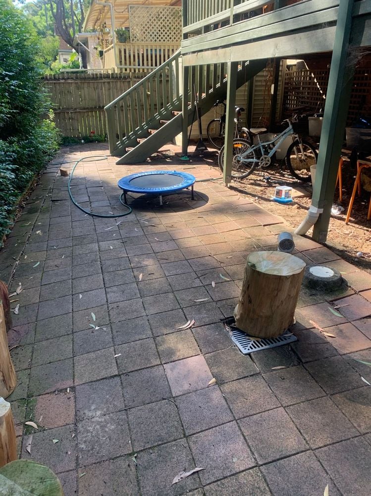 IMG_4214.JPEG IMG_4214.JPEG