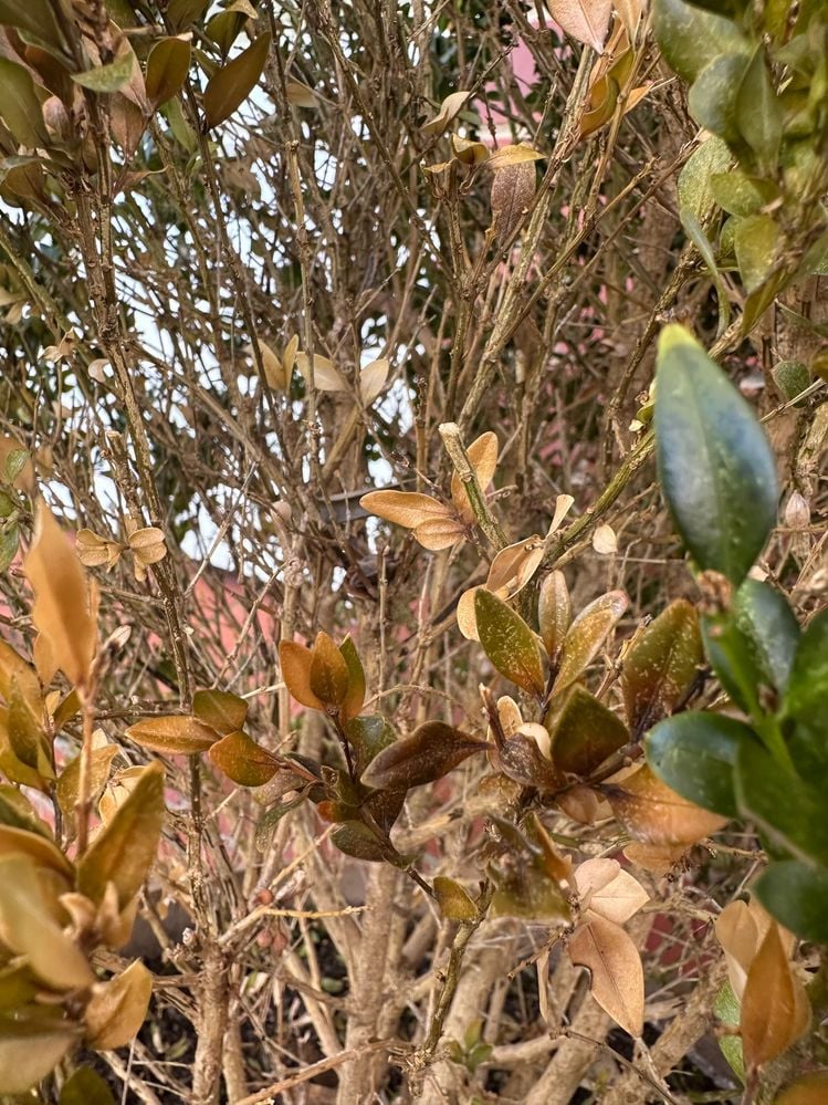 IMG_8179.jpg IMG_8179.jpg