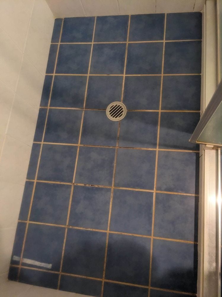 319050066_2223134237889003_6215350445119155174_n.jpg 319050066_2223134237889003_6215350445119155174_n.jpg