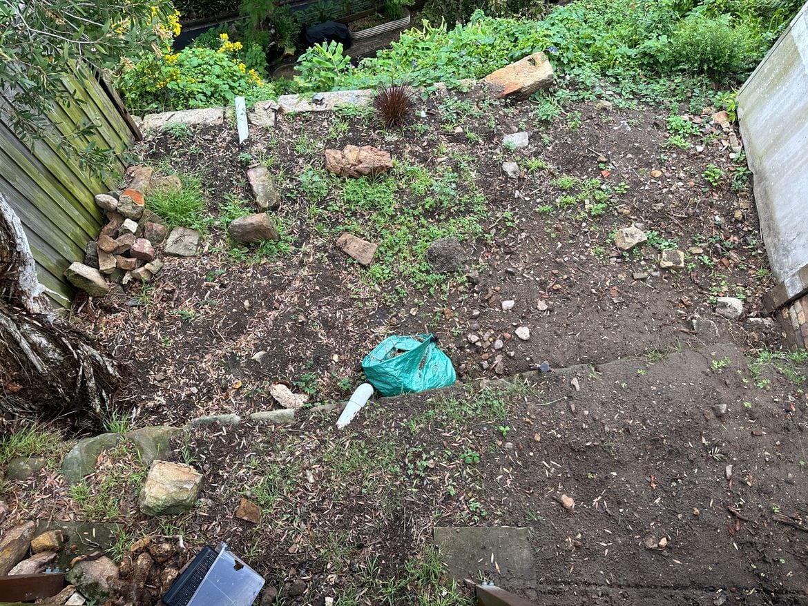 IMG_0582.jpeg IMG_0582.jpeg