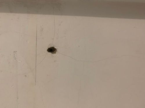 EA4FAADC-E512-4287-A8F8-76C998316029.jpeg EA4FAADC-E512-4287-A8F8-76C998316029.jpeg