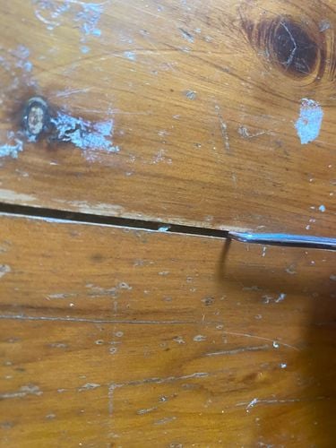 1836E516-FD7B-4DB3-B385-E16774678051.jpeg 1836E516-FD7B-4DB3-B385-E16774678051.jpeg