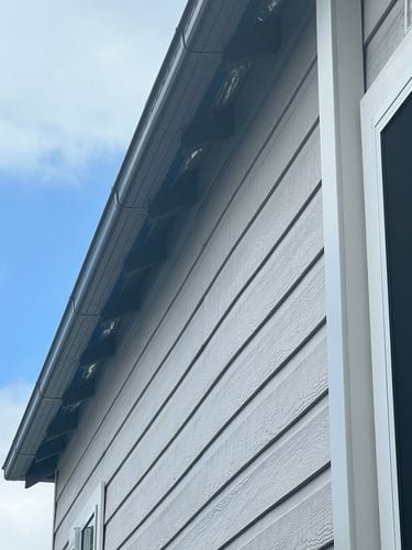 IMG_8364.jpeg IMG_8364.jpeg