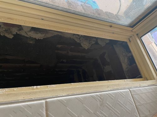 IMG_3113.jpeg IMG_3113.jpeg