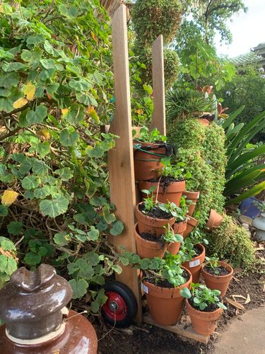 C3056E16-7B6D-4341-B70E-9EA8CACC9F4D.jpeg C3056E16-7B6D-4341-B70E-9EA8CACC9F4D.jpeg