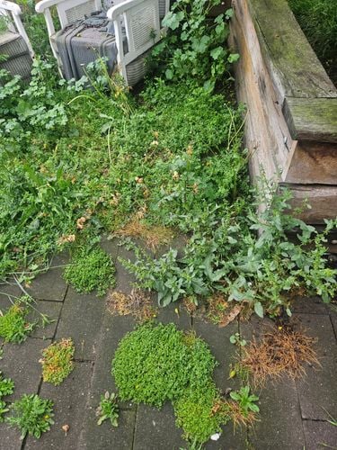 20251103_160805.jpg 20251103_160805.jpg