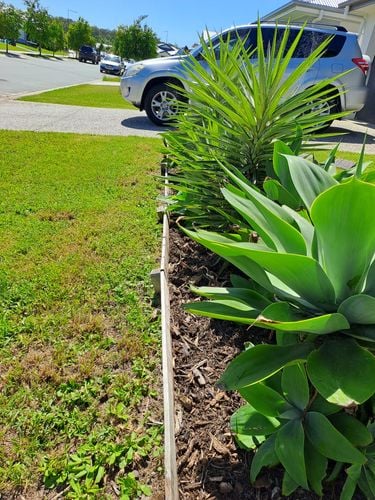 1000014040.jpg 1000014040.jpg