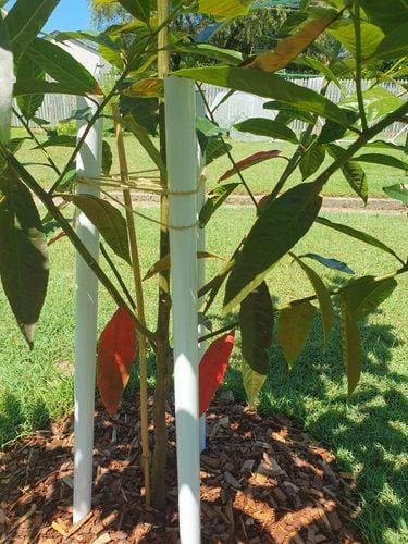 20240301_140330.jpg 20240301_140330.jpg