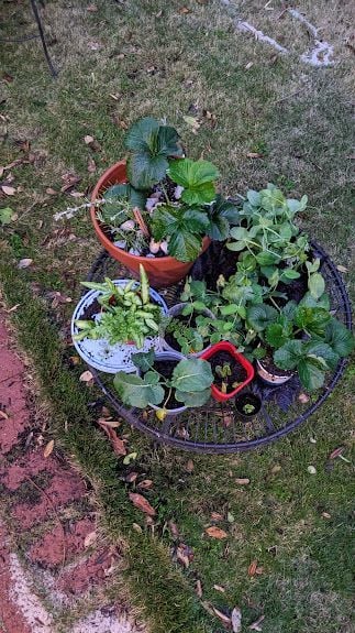 PXL_20240730_094756944.jpg PXL_20240730_094756944.jpg