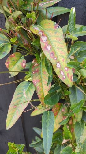 1000013946.jpg 1000013946.jpg