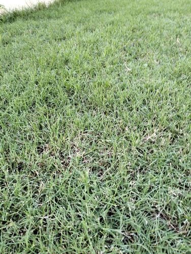 IMG20240106080542.jpg IMG20240106080542.jpg