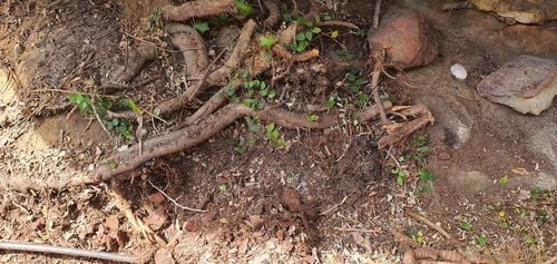 20240912_123949.jpg 20240912_123949.jpg