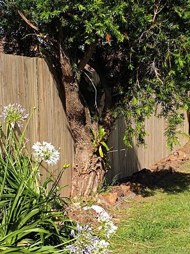 20201204_173105.jpg 20201204_173105.jpg