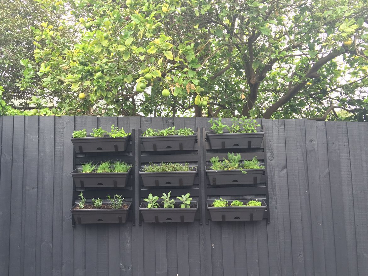 IMG_6644.JPG IMG_6644.JPG