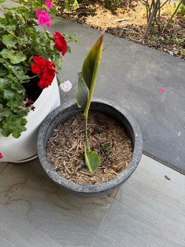 IMG_0061.jpeg IMG_0061.jpeg