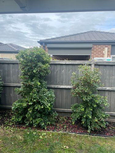 IMG_9611.jpeg IMG_9611.jpeg