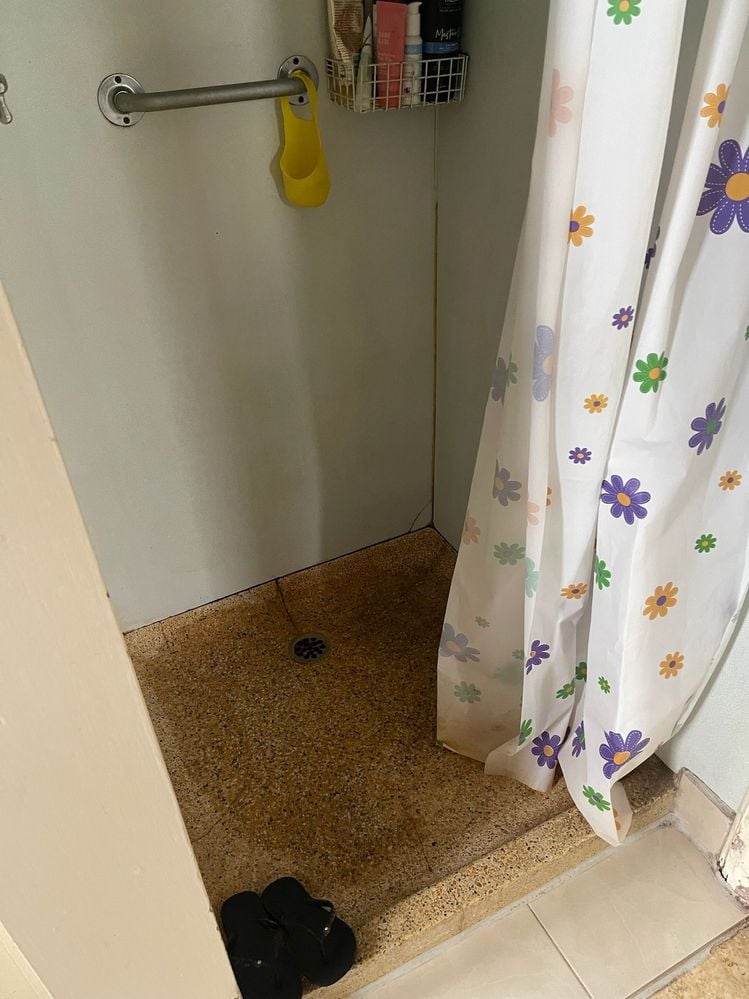 IMG_6141.HEIC.jpeg IMG_6141.HEIC.jpeg