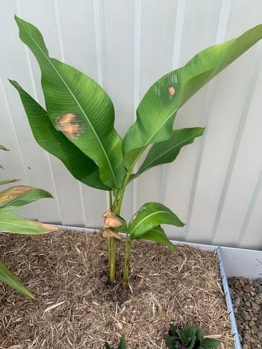 IMG_1959.jpg IMG_1959.jpg