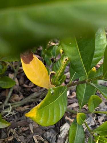 1000024490.jpg 1000024490.jpg