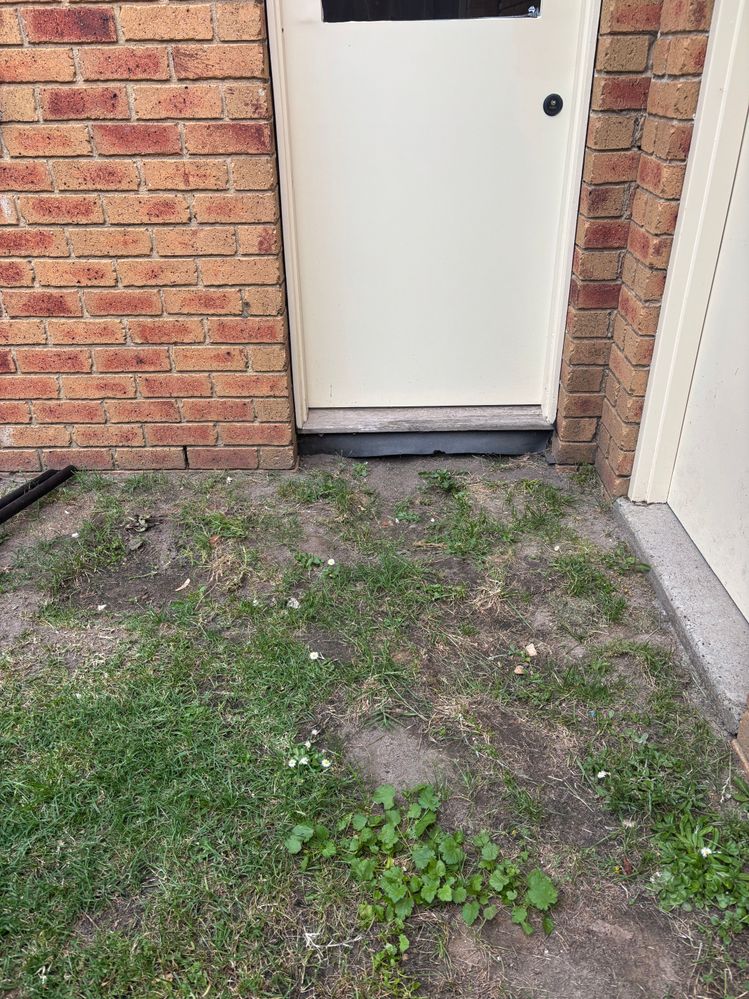 IMG_1515.JPG IMG_1515.JPG