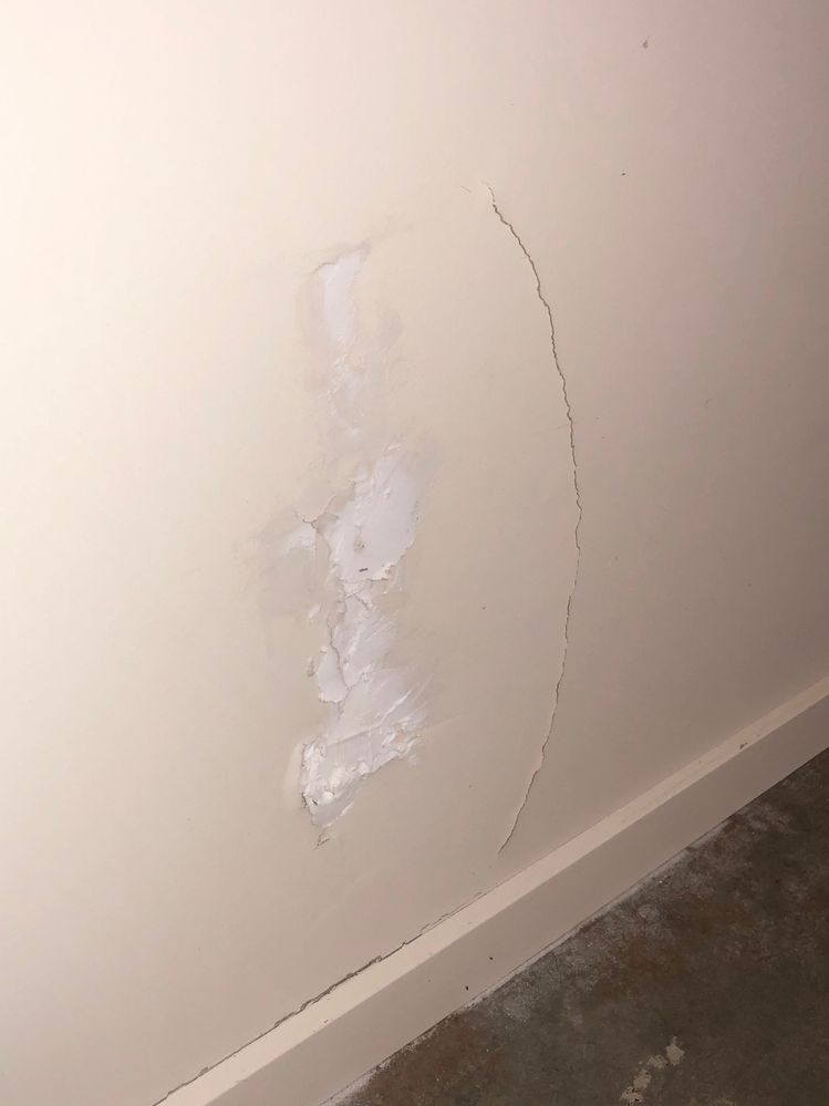 IMG_2240.jpg IMG_2240.jpg