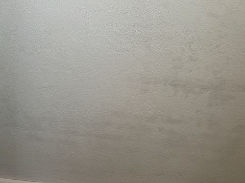 IMG_6611.jpeg IMG_6611.jpeg