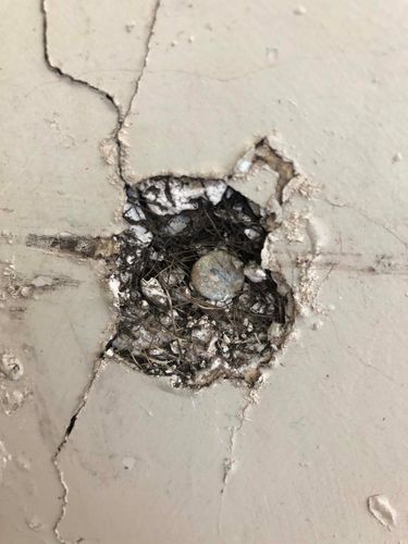 IMG_6630.jpeg IMG_6630.jpeg