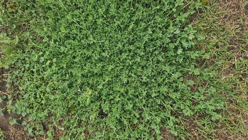 1000011489.jpg 1000011489.jpg