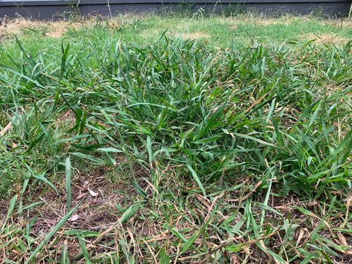 WhatsApp Image 2021-02-15 at 20.24.16 (1).jpeg WhatsApp Image 2021-02-15 at 20.24.16 (1).jpeg