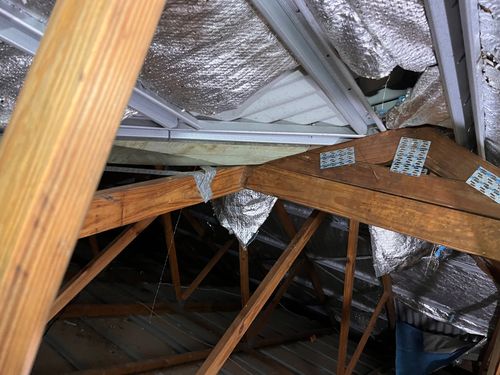 IMG_0305.jpeg IMG_0305.jpeg