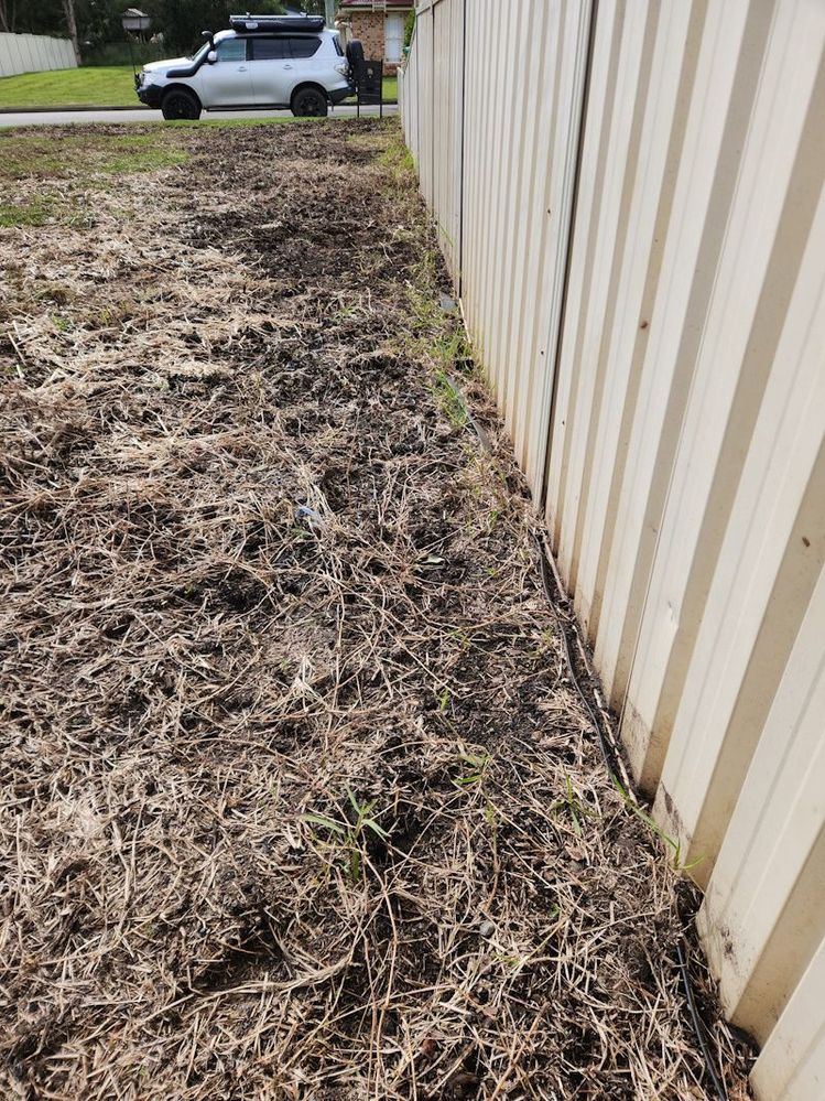 20250529_111607.jpg 20250529_111607.jpg