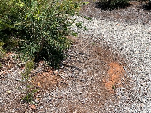 IMG_0944.jpeg IMG_0944.jpeg