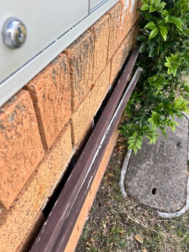 IMG_4466.jpeg IMG_4466.jpeg