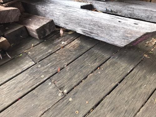 02 05-11-2023.jpg 02 05-11-2023.jpg