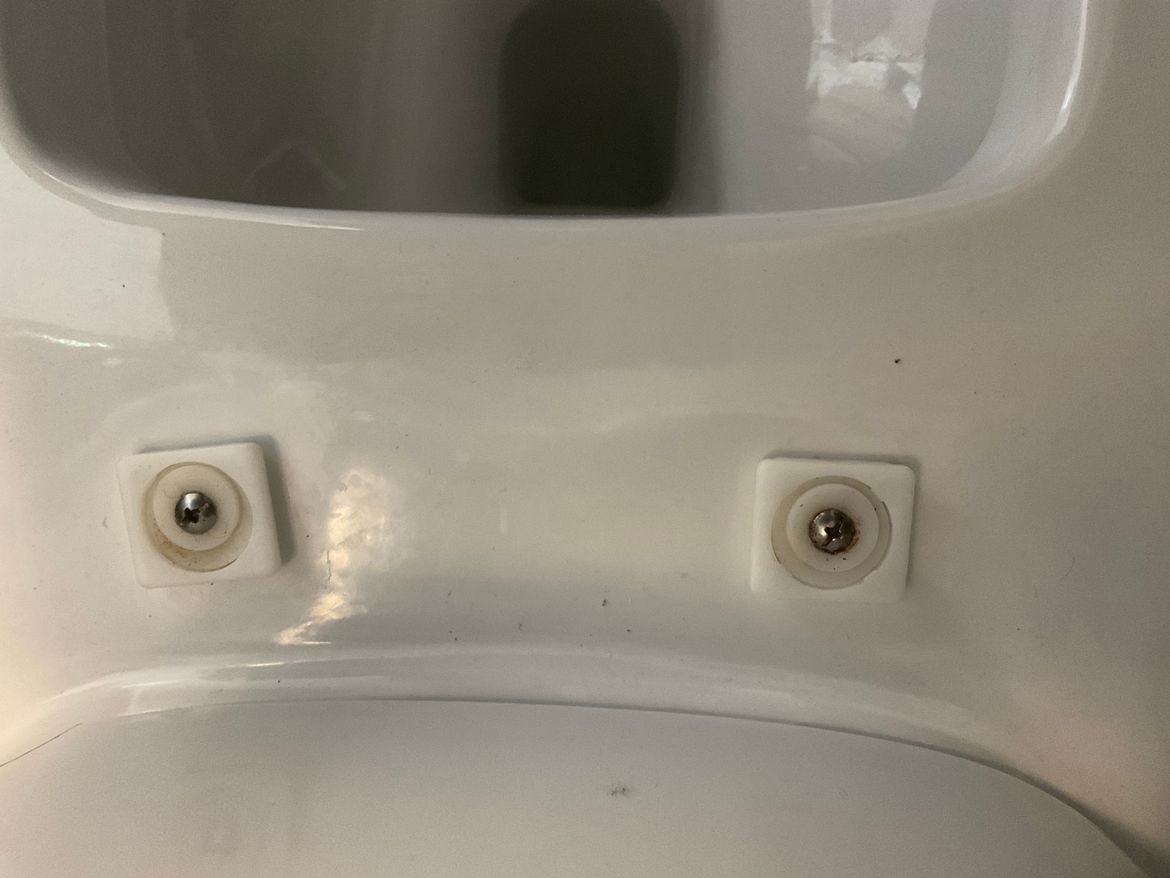 IMG_0197.jpeg IMG_0197.jpeg