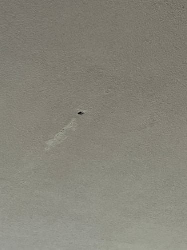 IMG_0989.jpeg IMG_0989.jpeg